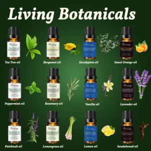12 Essential Oil Aromatherapy Set