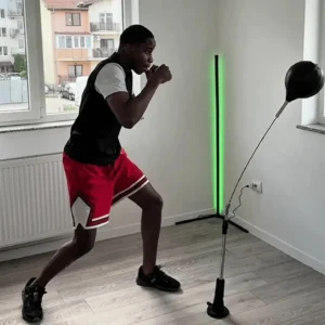 New Premium Cobra Punching Bag